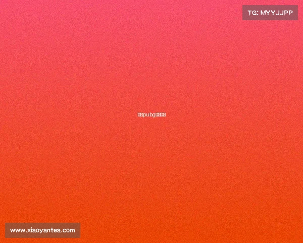 中国pubg职业战队